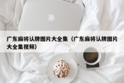 广东麻将认牌图片大全集（广东麻将认牌图片大全集视频）