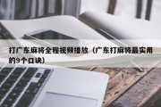 打广东麻将全程视频播放（广东打麻将最实用的9个口诀）