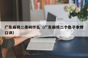 广东麻将二条叫什么（广东麻将二个色子拿牌口诀）