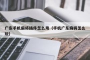 广东手机麻将插件怎么用（手机广东麻将怎么玩）
