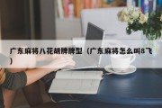 广东麻将八花胡牌牌型（广东麻将怎么叫8飞）